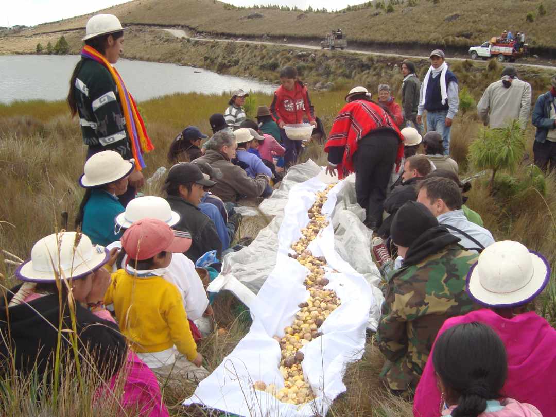 Pampamesa Andina Pampamesa andina tradicional dispuesta sobre un largo mantel blanco, compartida entre huéspedes y anfitriones junto a las orillas de la Laguna de Culebrillas.