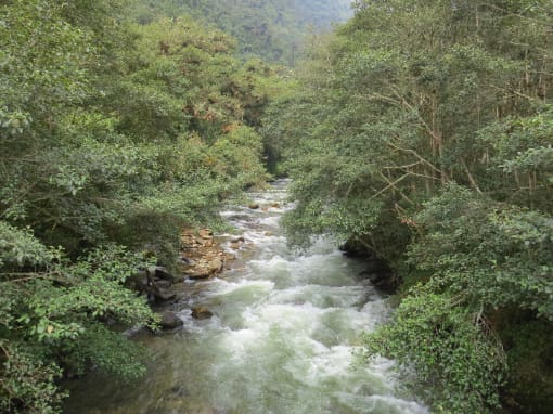 Rio Quijos El río Quijos atravesando bosques nativos cerca de las famosas termas de Papallacta, Ecuador.
