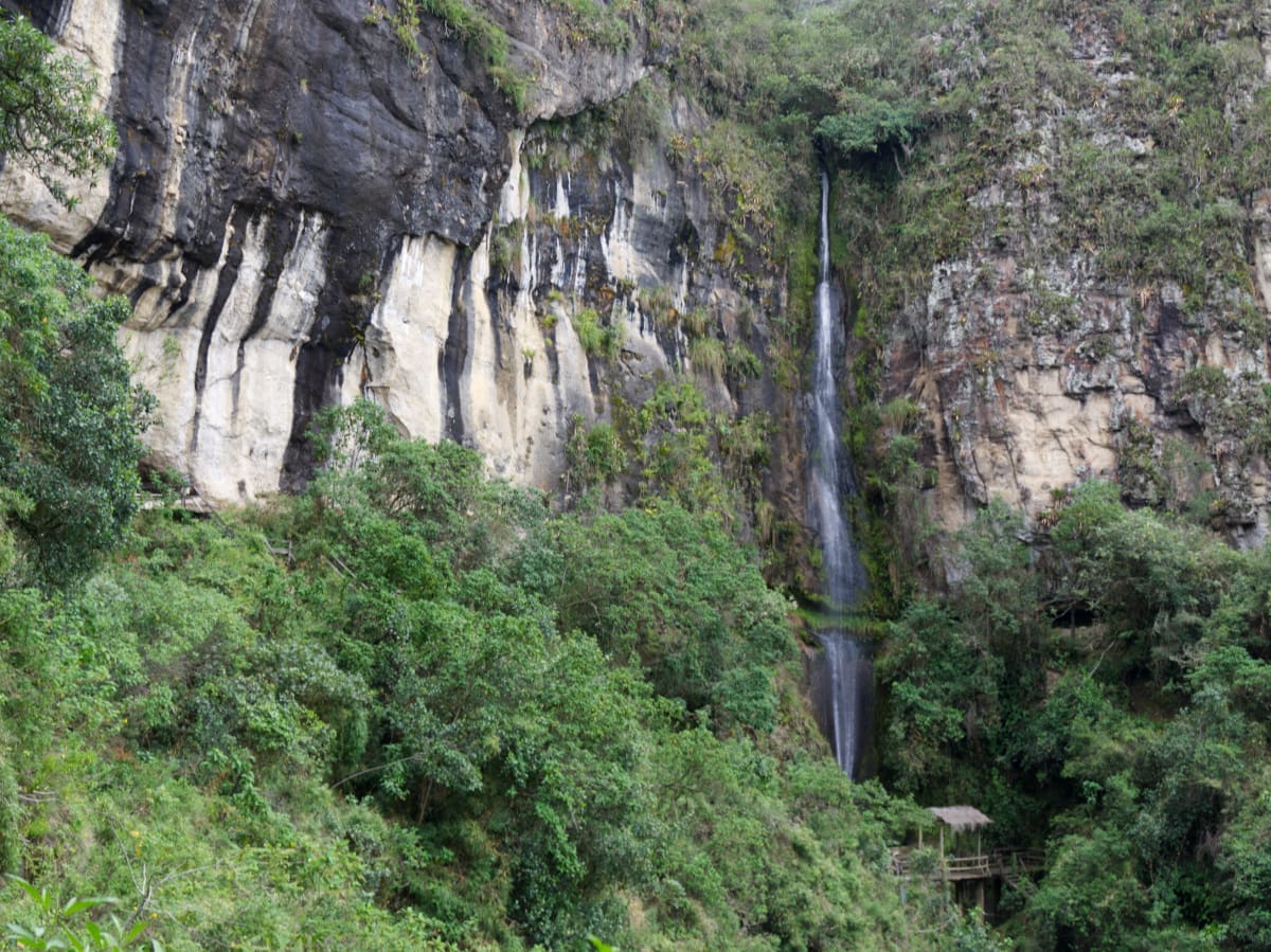 A thin but tall waterfall cascades from a cliff into the green forest, guiding the view towards a small structure at its base.
