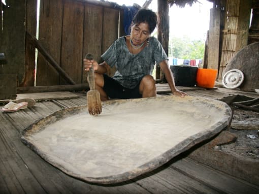 Demostración Culinaria Una mujer de la comunidad Machacuyacu muestra el proceso tradicional de preparación de chicha de yuca, destacando sus conocimientos ancestrales y su conexión cultural.