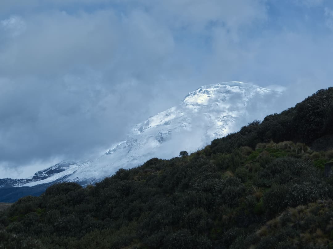 Antisana entre nubes y bosque Cima nevada del Antisana entre nubes pasajeras con una colina boscosa en primer plano.