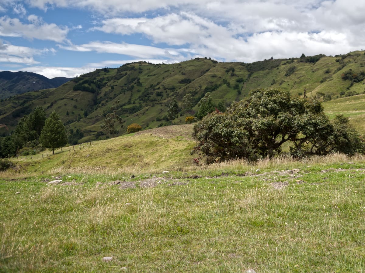 Qhapac Nan in Saraguro An ancient trail through a farm field with links to the Qhapaq Ñan, the iconic Inca Trail that connected the empire from Argentina to Colombia.