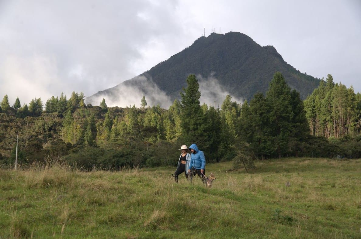 "Bosque comunitario Washapamba con senderos rodeados de vegetación andina, ideal para caminatas y ecoturismo"